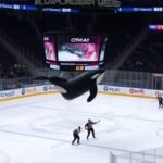 Seattle Orcas Triumph Over LA Knight Riders in a Thrilling Encounter